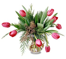 Tulips in vase