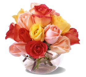 Assortment of roses