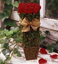 Bunch of red roses