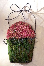 Wall Roses