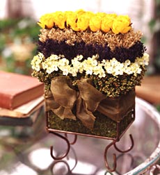 Yellow roses